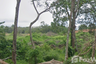 Land for sale in Pa Khlok, Phuket
