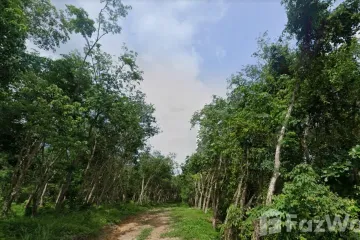 Land for sale in Choeng Thale, Phuket
