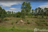 Land for sale in Cham Phak Phaeo, Saraburi