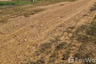 Land for sale in Salokbat, Kamphaeng Phet