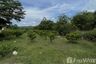 Land for sale in Mu Si, Nakhon Ratchasima