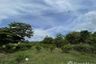 Land for sale in Mu Si, Nakhon Ratchasima