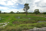 Land for sale in Nok Mueang, Surin