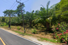 Land for sale in Ratsada, Phuket