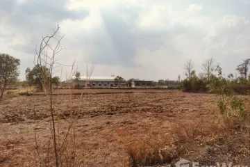 Land for sale in Nong Hi, Roi Et
