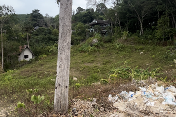 Land for sale in Kamala, Phuket