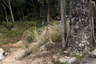 Land for sale in Kamala, Phuket