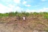Land for sale in Na Mai, Pathum Thani