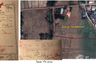 Land for sale in Sang Paen, Udon Thani