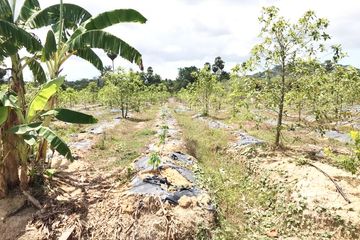 Land for sale in Si Sunthon, Phuket