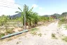 Land for sale in Si Sunthon, Phuket