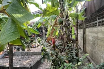 Land for sale in Bang Khen, Nonthaburi near MRT Yaek Tiwanon