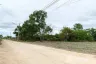 Land for sale in Bueng Ba, Pathum Thani