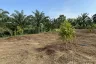 Land for sale in Kalai, Phang Nga