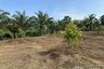 Land for sale in Kalai, Phang Nga