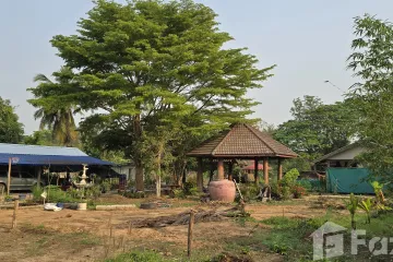 Land for sale in Thung Saliam, Sukhothai