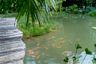 Land for sale in Nong Thale, Krabi