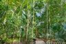 Land for sale in Nong Thale, Krabi