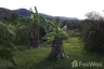 Land for sale in Pa Khlok, Phuket