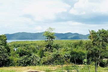 Land for sale in Thep Krasatti, Phuket
