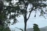 Land for sale in Mai Khao, Phuket