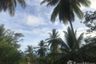 Land for sale in Ko Tao, Surat Thani