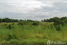 Land for sale in Bueng Phra, Phitsanulok
