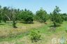 Land for sale in Bang Nang Li, Samut Songkhram