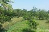 Land for sale in Bang Nang Li, Samut Songkhram