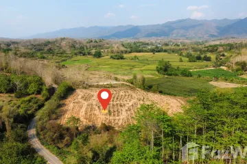 Land for sale in Chiang Klang, Nan
