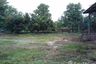 Land for sale in Na An, Loei