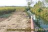 Land for sale in Thep Nimit, Kamphaeng Phet