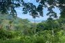 Land for sale in Karon, Phuket