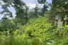 Land for sale in Karon, Phuket