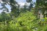 Land for sale in Karon, Phuket