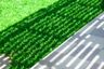 3 Bedroom House for rent in Chalong, Phuket