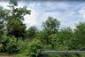 Land for sale in Si Sunthon, Phuket