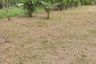 Land for sale in Pa Khlok, Phuket