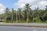 Land for sale in Pak Prak, Surat Thani