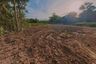 Land for sale in Ratsada, Phuket