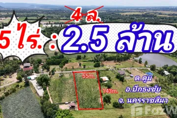 Land for sale in Tum, Nakhon Ratchasima