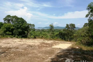 Land for sale in Thep Krasatti, Phuket