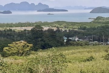 Land for sale in Pa Khlok, Phuket