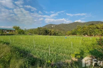 Land for sale in Chiang Dao, Chiang Mai