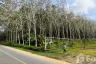 Land for sale in Sakhu, Phuket