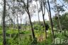 Land for sale in Sakhu, Phuket