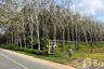Land for sale in Sakhu, Phuket