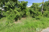 Land for sale in Sakae Krang, Uthai Thani