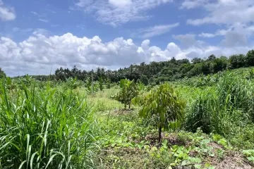 Land for sale in Nong Bon, Trat