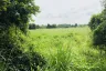 Land for sale in Na Roek, Chonburi